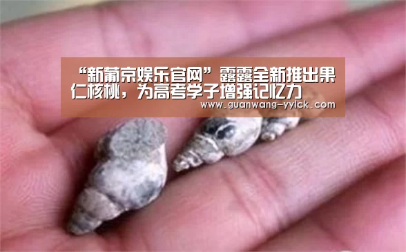 “新葡京娱乐官网”露露全新推出果仁核桃,为高考学子增强记忆力(图4) 新葡京娱乐官网